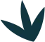 获取我们的每周更新 - 雷竞技